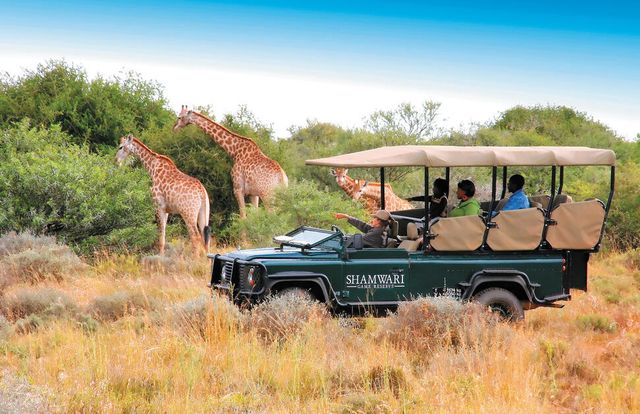 16-Daagse Prive Rondreis Zuid Afrika: Tuinroute en Shamwari Safari